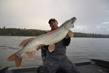 106cm capturé avec Shad GT 22cm