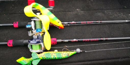 Canne Pike Shad – Image 5
